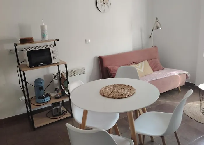 Castelema - Proche Du Sanctuaire Appartement Lourdes